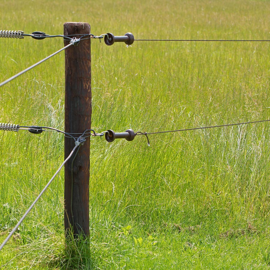 028986_6WEB
