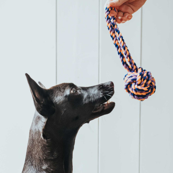 Hunter Hundespielzeug Jena Ball mit Handschlaufe
